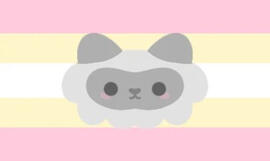 cutecollector